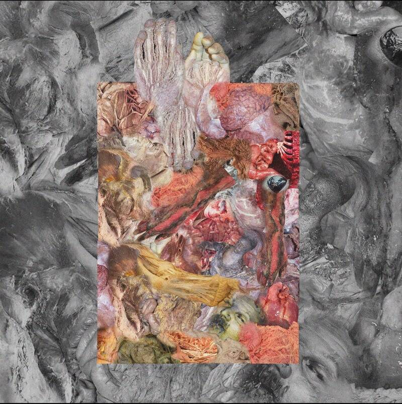 2902c22c89807ea2064630e4f82601ed