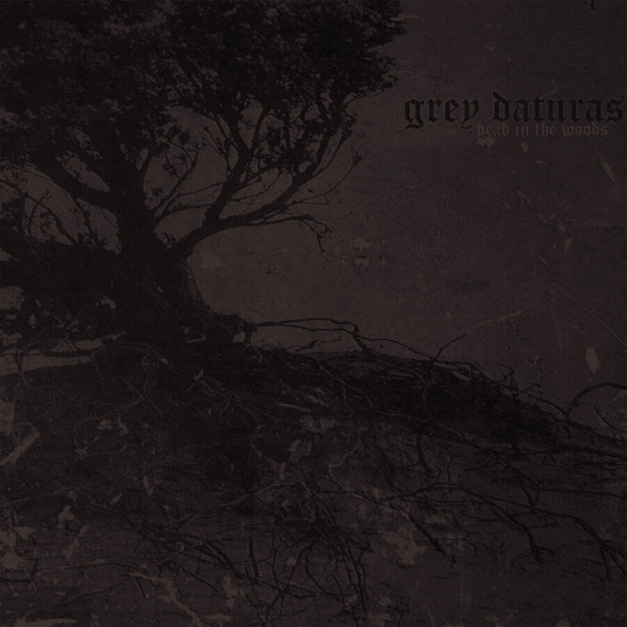 fb02dbc45ae9a4902eb5e969f758e794