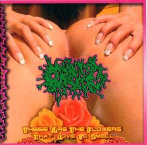 a23a03b7767a600570915a9b41354b24