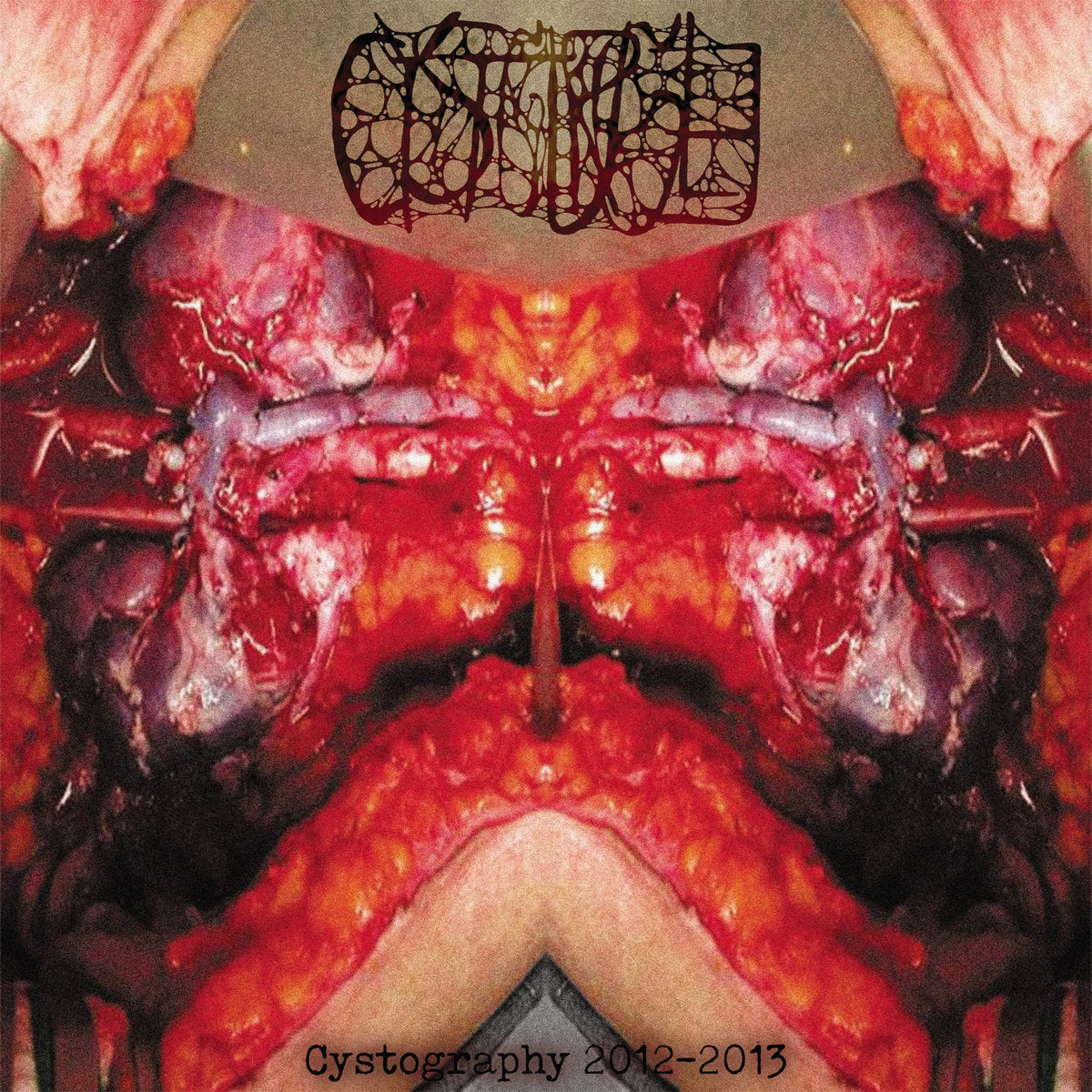 3ca8f8e7e9c77308c025268d40f7098e