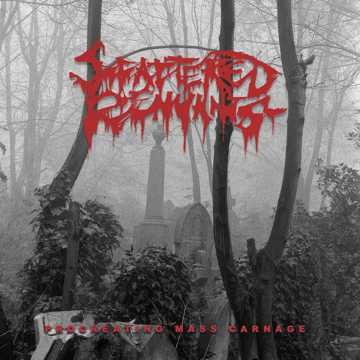SCATTERED REMNANTS - Procreating Mass Carnage CD