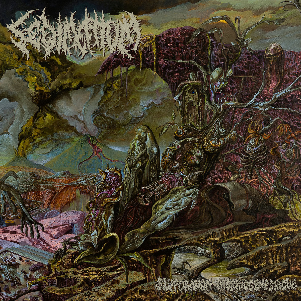 SEDIMENTUM - Suppuration Morphogenesiaque CD