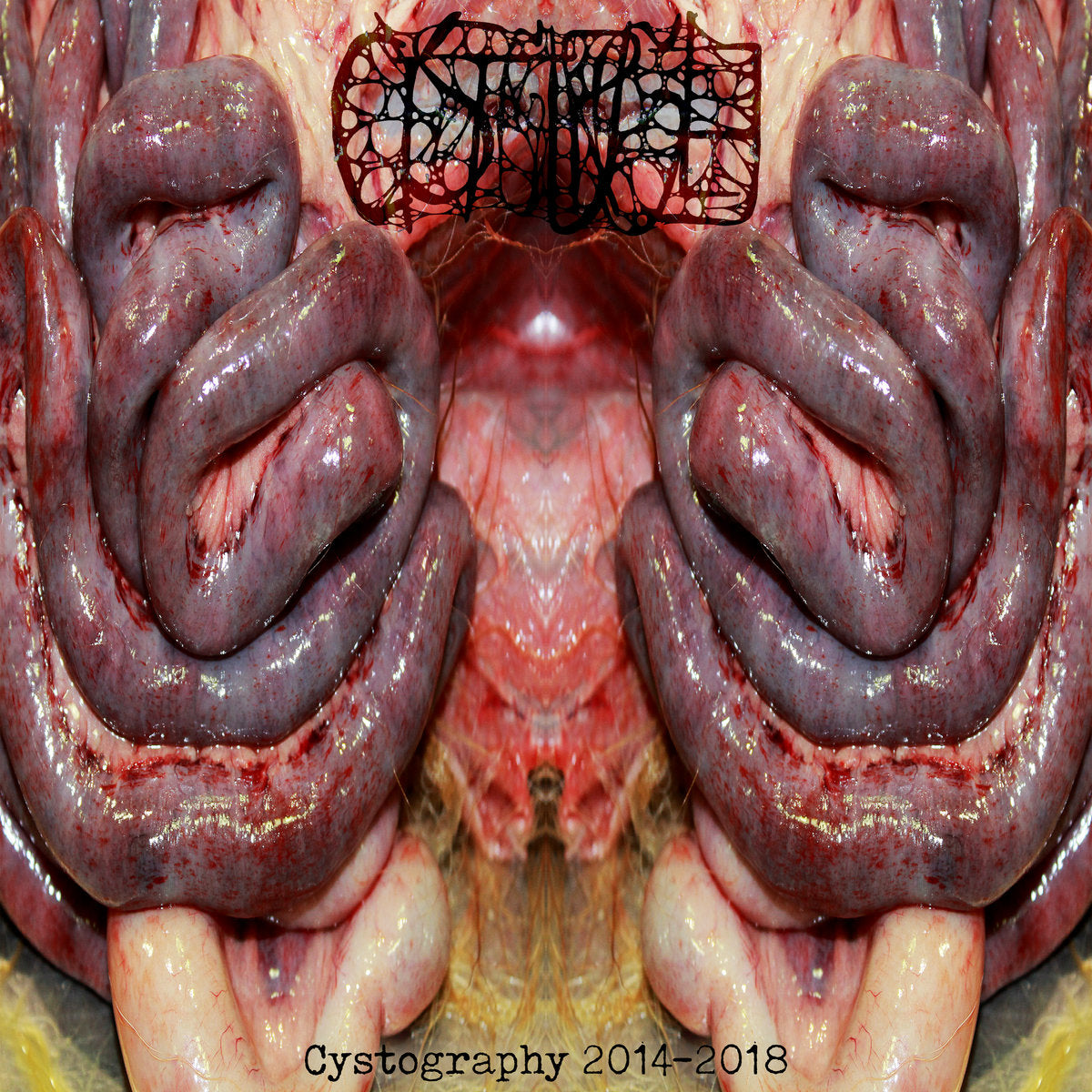 dc355a1e48ace6728c299988a6a0092b