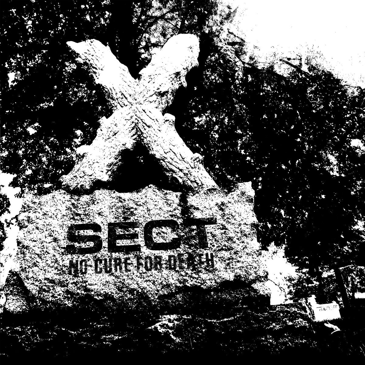 SECT - No Cure For Death CD