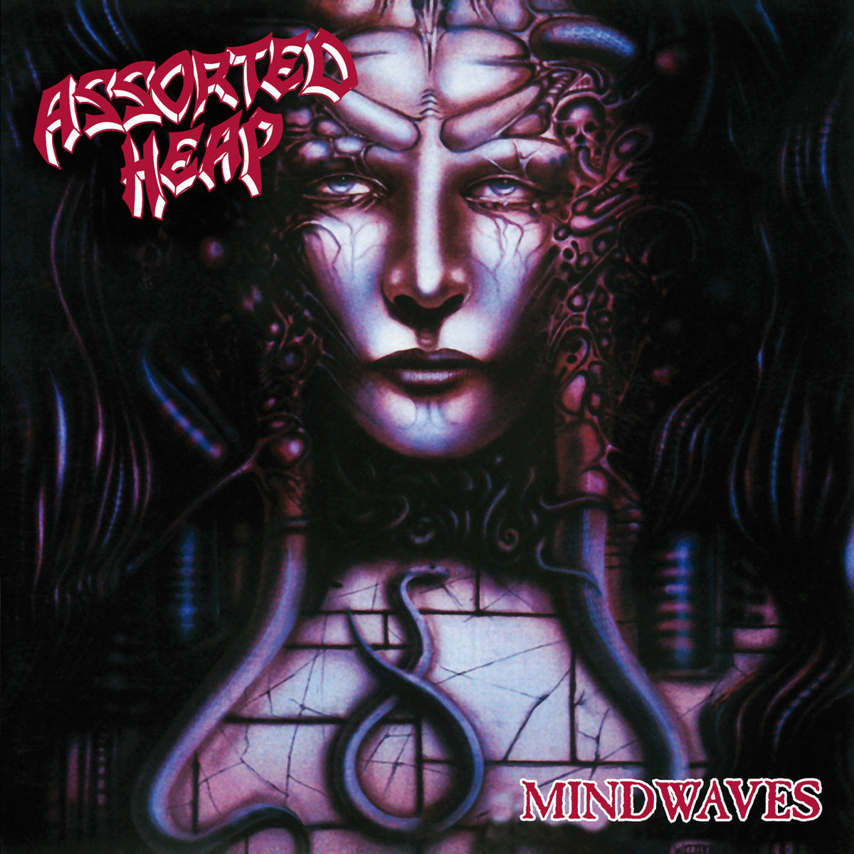 ASSORTED HEAP - Mindwaves CD
