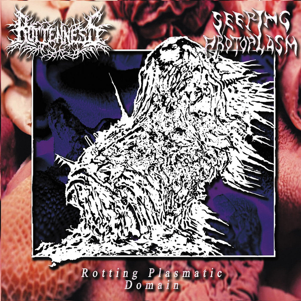ZGNILIZNOŚĆ / PRZESĄCZAJĄCA SIĘ PROTOPLAZMA - split CD