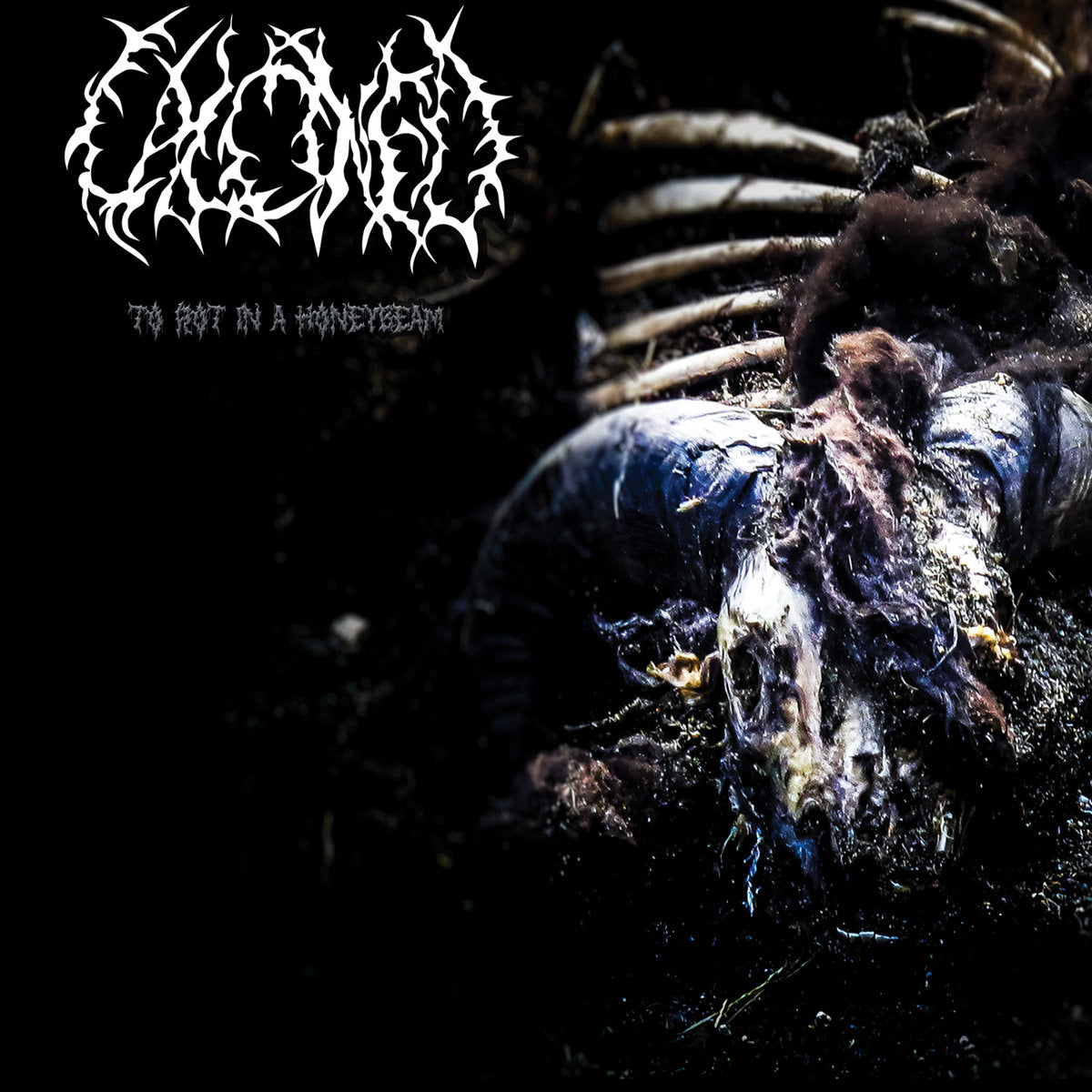 CALCINED - To Rot In A Honeybeam CD (digipak)