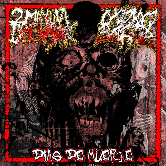 910a9dc898fe10676ced53e20c27f8c6