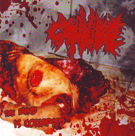 fdb8cf4a739da36be778a6e72368a773