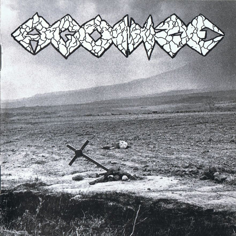 21a691dbe4a0a7ccdd255c6d90552622