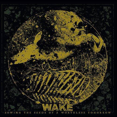 dbb5fee5b8b6aff186a665c50ef565ff