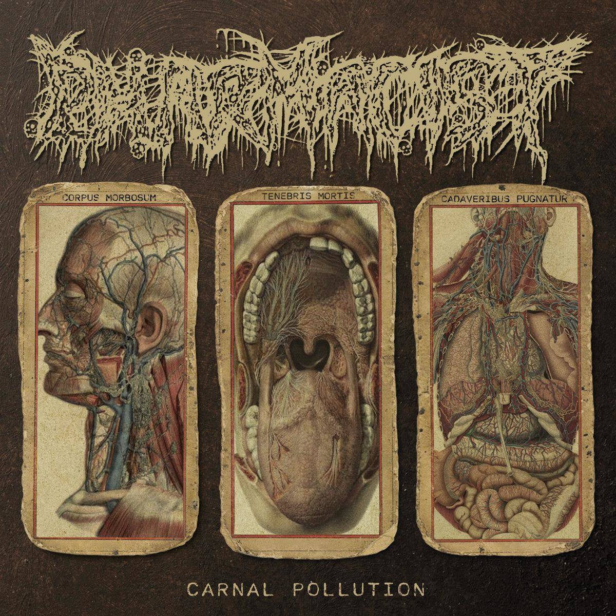 3dc4e938db1e804097b22baec84722c6