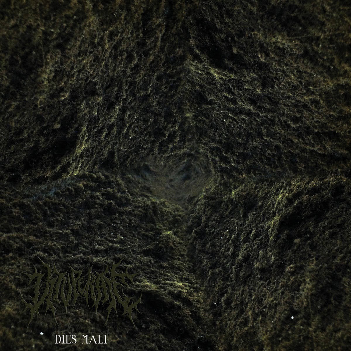 b6540be652e5d97ac22aa03142b721dc