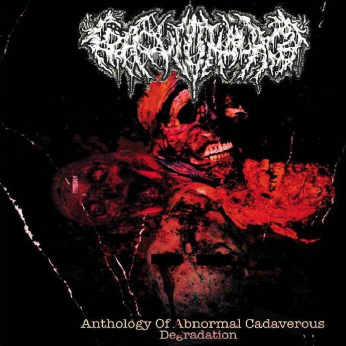 10530e898f06c3d8eaf7c62850bb3497