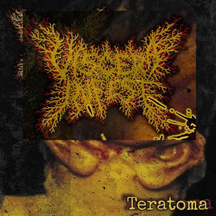 4808839ddf3de34c74380173088662d7