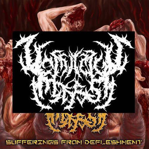 46ba82c247751debaac7b83090d43dbc