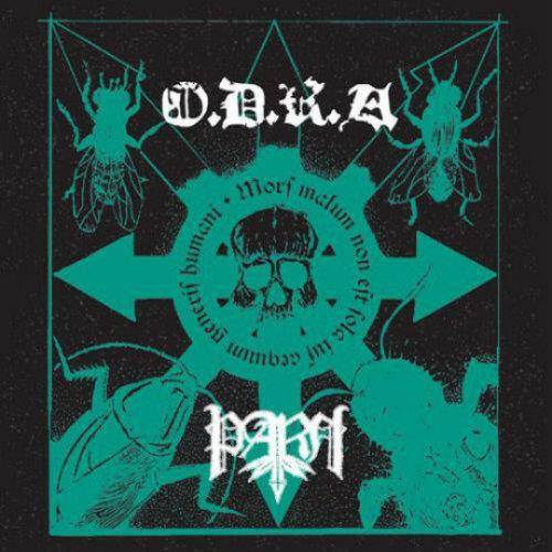 04daf4f3536ef4c95a294efc7ed06b13