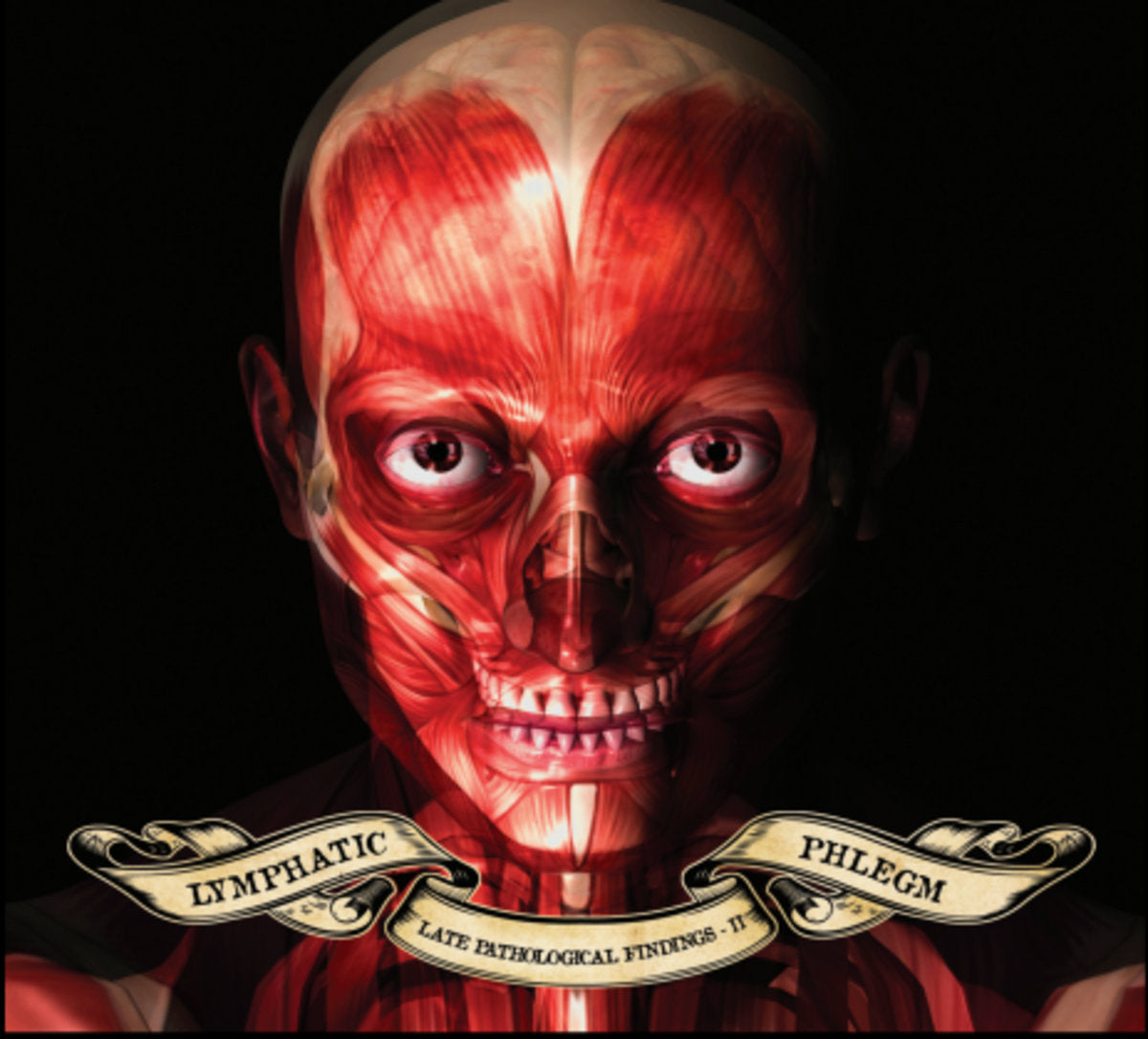 477b199d5adfe64acbeecb74aa8baf4b