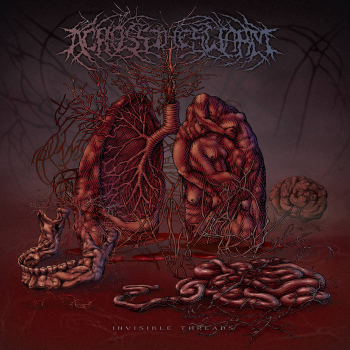 444e5c5e946089e38bace64b5ce4f915