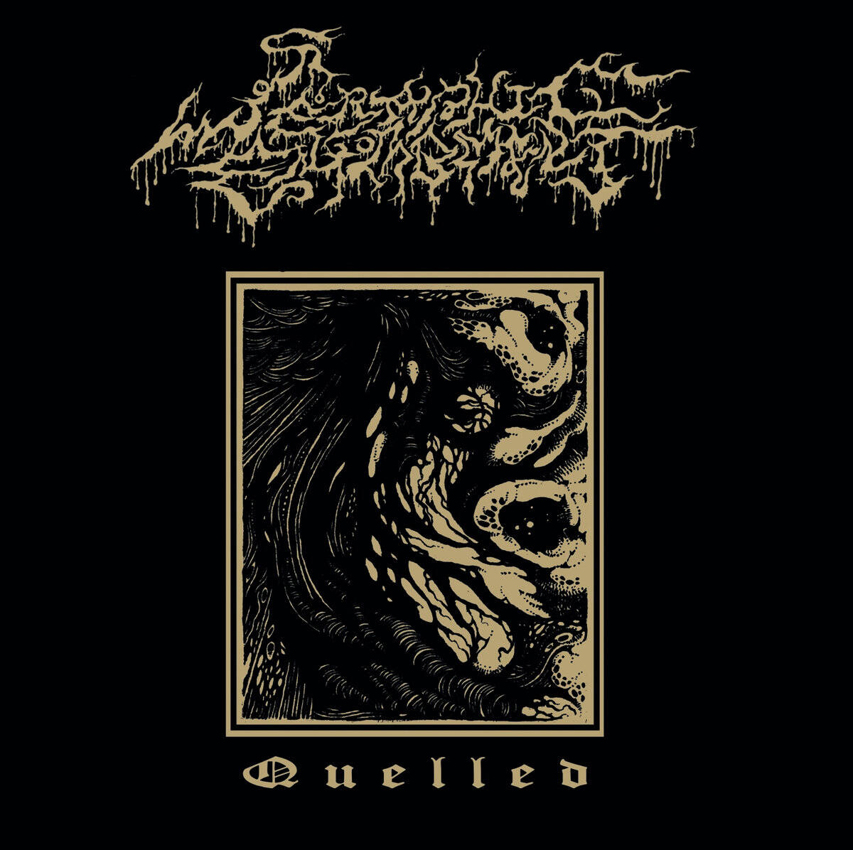 SERAPHIC ENTOMBMENT (ECTOVOID) - Quelled CD – Selfmadegod Records