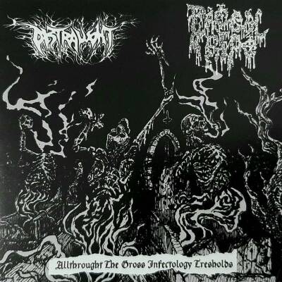 82be5775190965bf609991019eecb50f