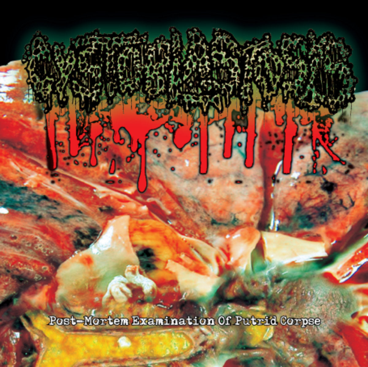 05f395786aaee6ee323eb81b1c8718ac