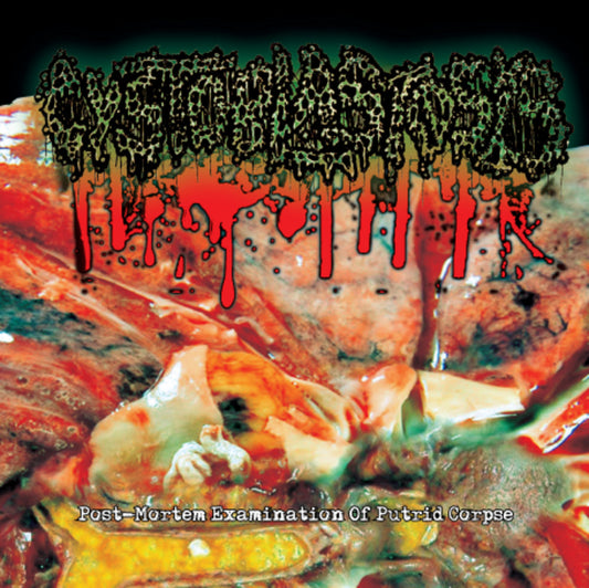 05f395786aaee6ee323eb81b1c8718ac