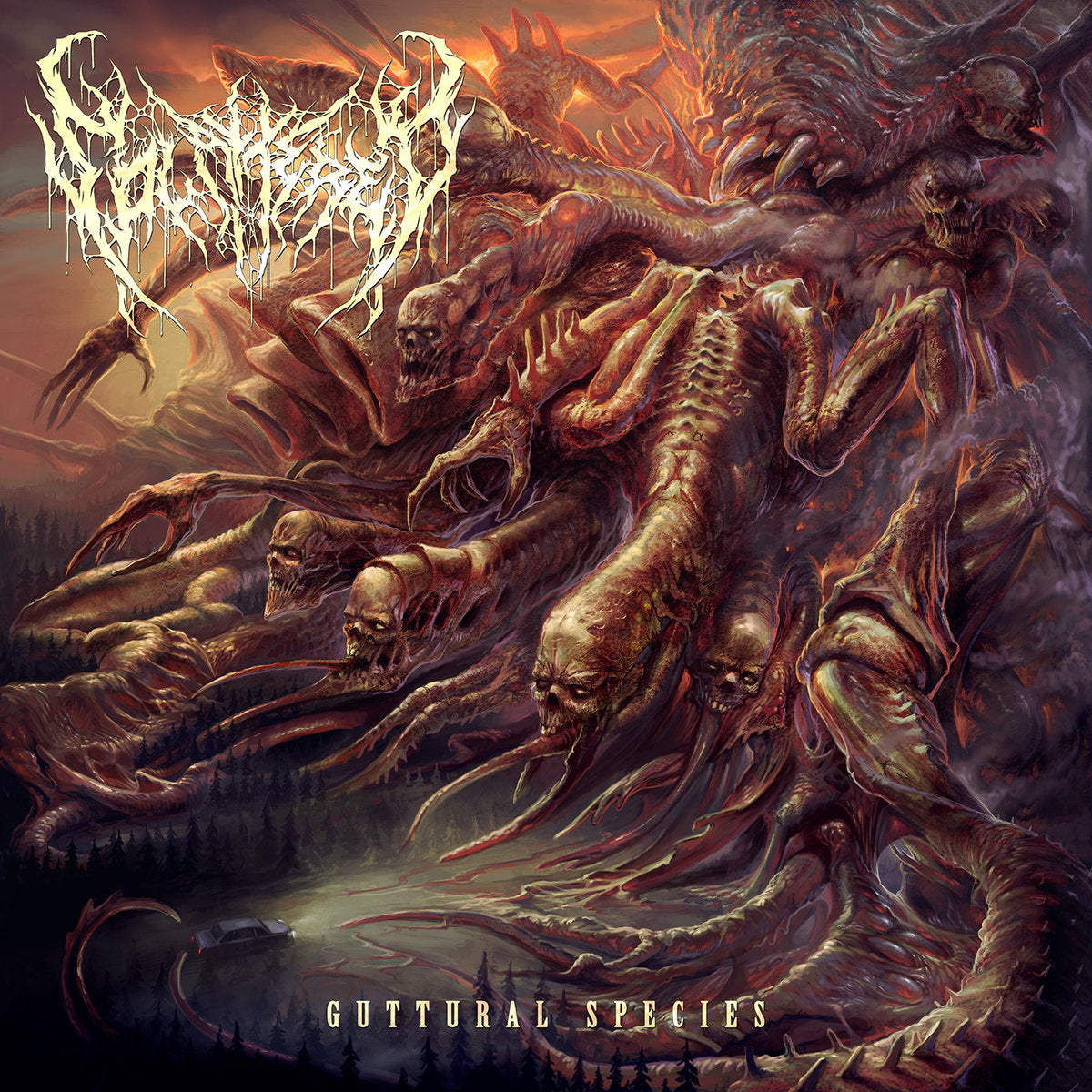 c7412471ca6c304dcc9d0938f4645436