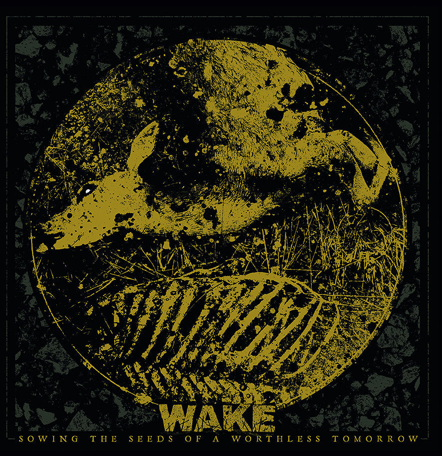 3e08fddb103c087916344fad05858844