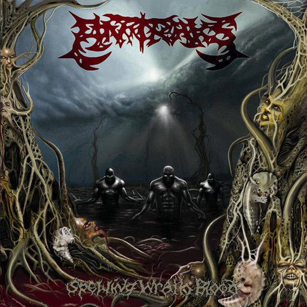 be362a6fbb74fe2f6a12ce793dcd88ca