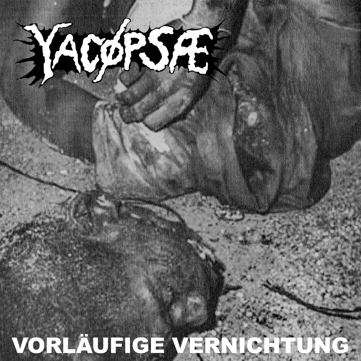 YACOPSAE - Vorlaufige Vernichtung CD
