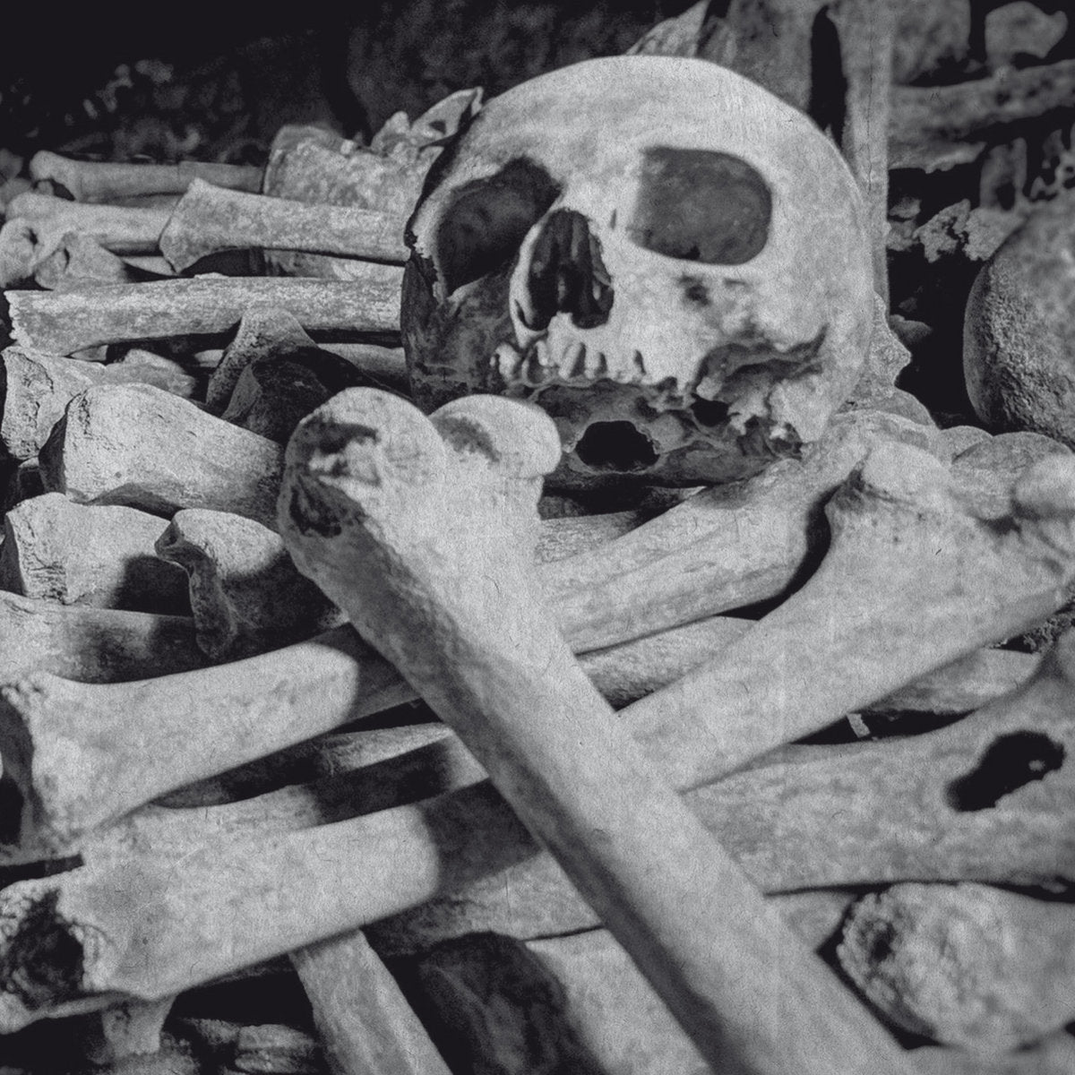 ENCOFFINATION - Necros Obscuritas CD