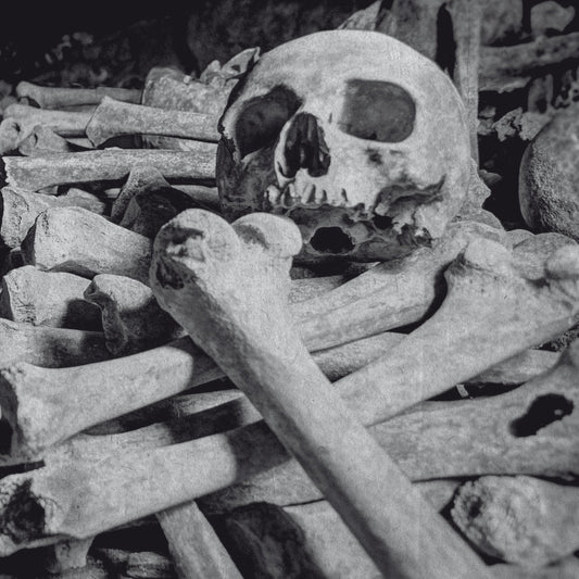 ENCOFFINATION - Necros Obscuritas CD