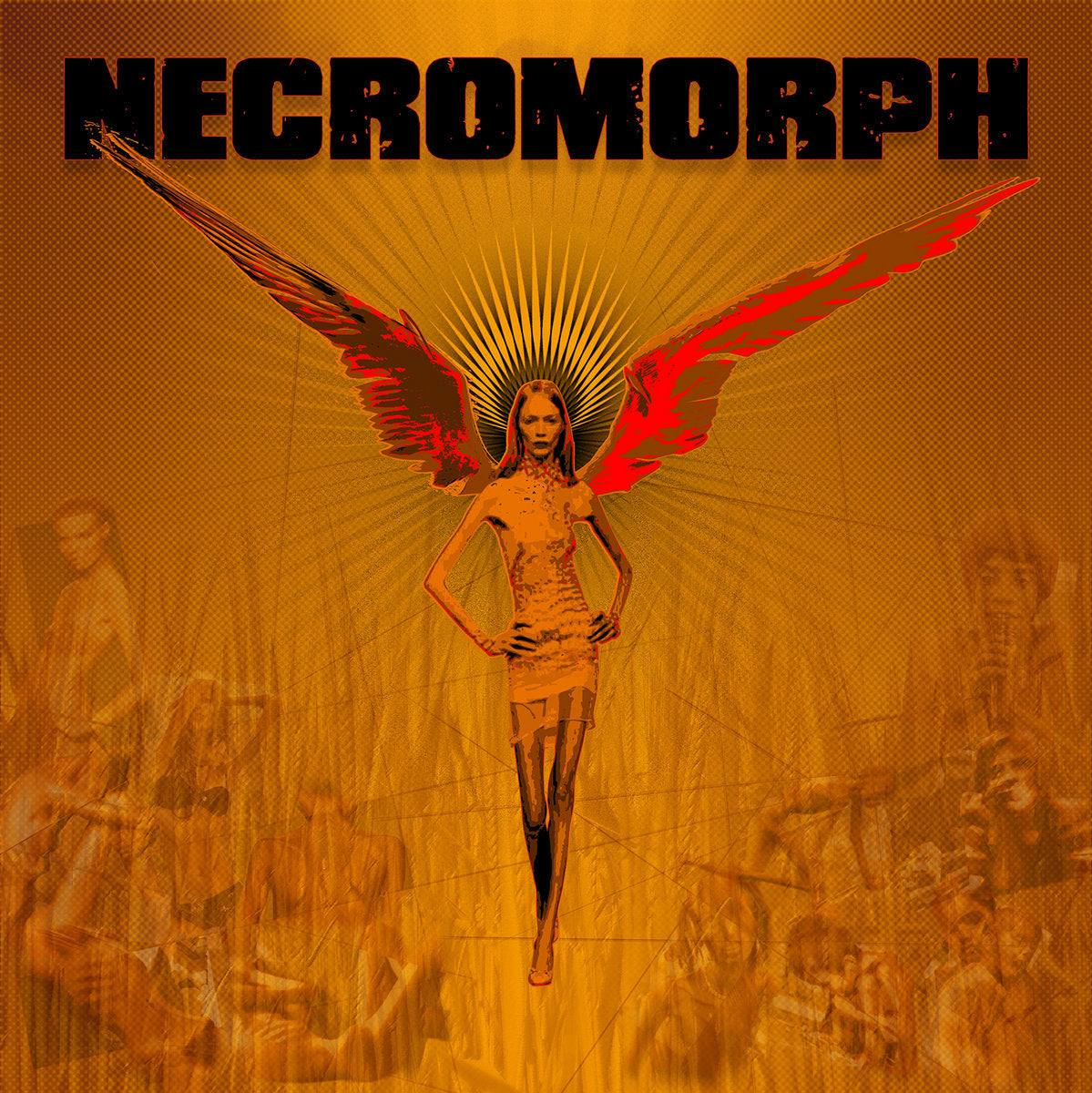 284ace9f5eb2800e3d44f20002806d74