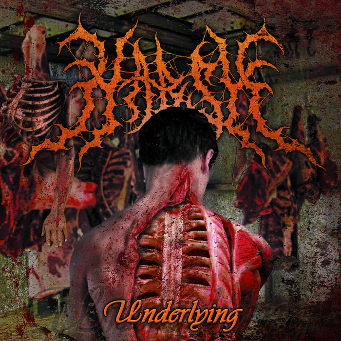 10996000e7c9bf4940aa21c6ba2f1f33