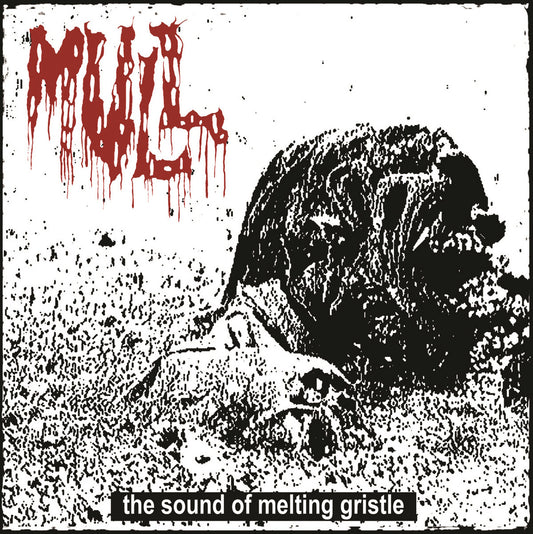 MULL (MINDFLAIR) - The Sound of Melting Gristle CD