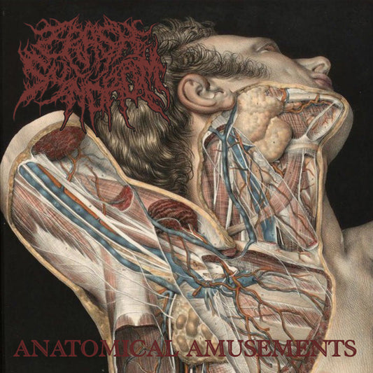 CRASH SYNDROM - Anatomical Amusements CD