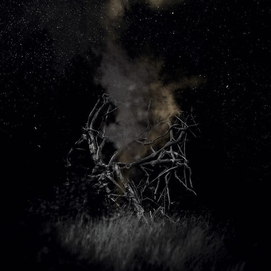 be6769c23f8acb4402d49deb50bb6965