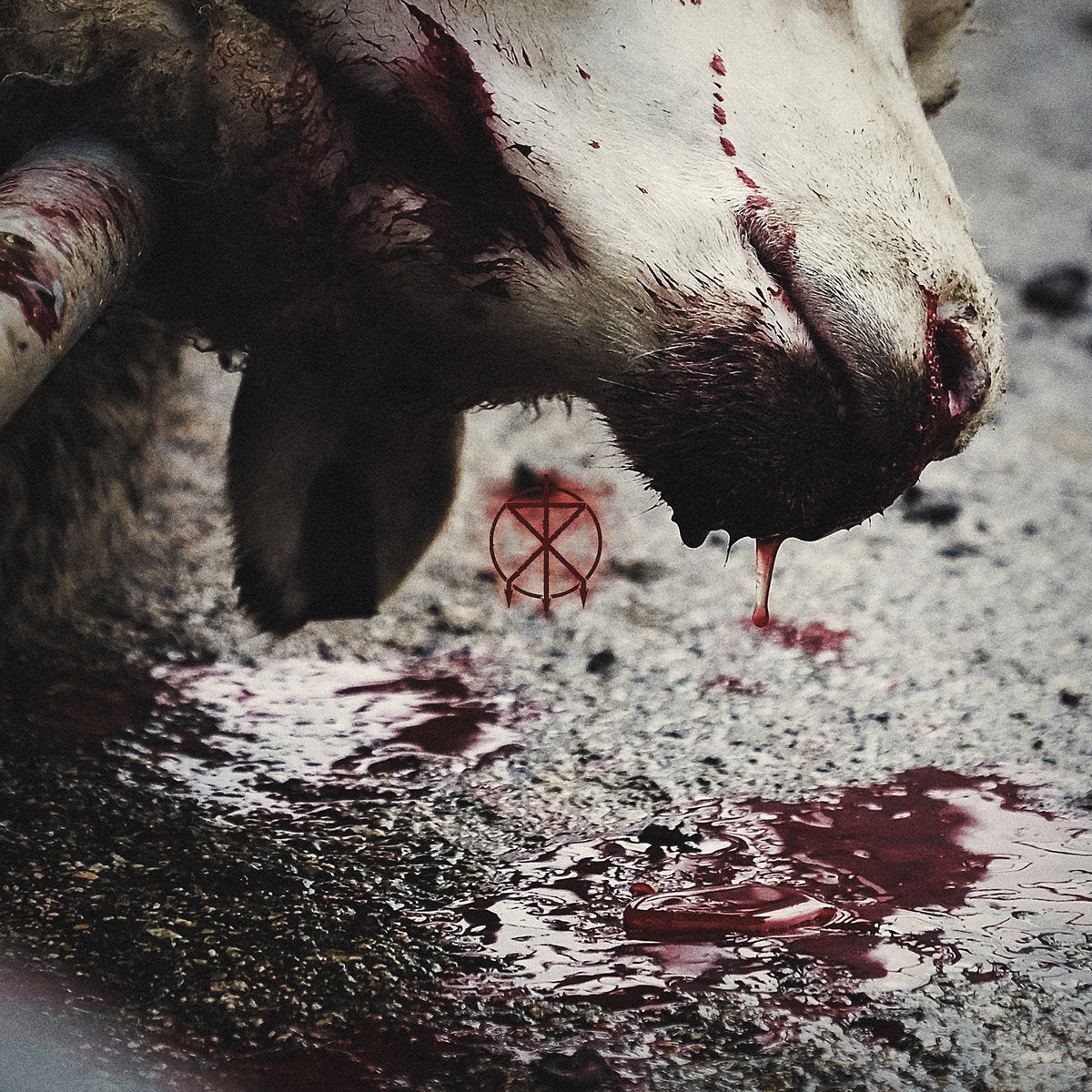 TO THE GRAVE - Director's Cuts CD