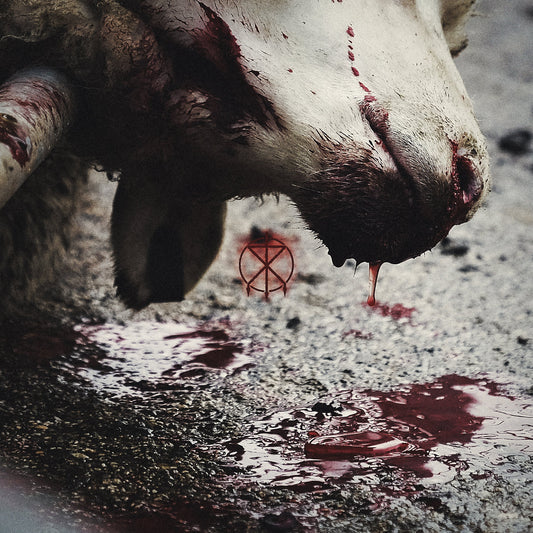 TO THE GRAVE - Director's Cuts CD