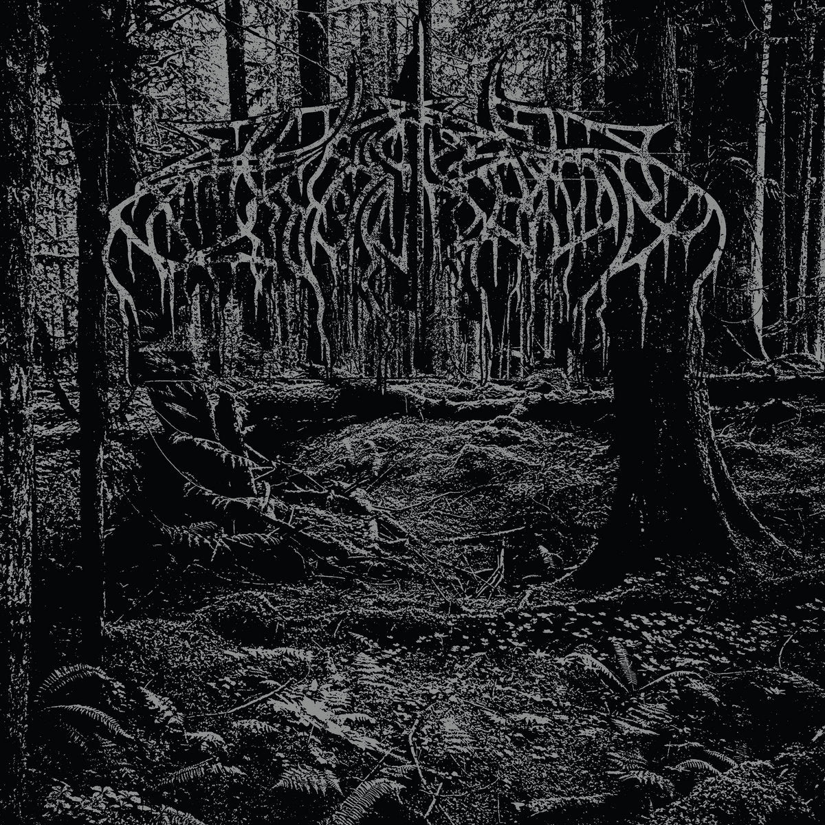 WOLVES IN THE THRONE ROOM - 2005 Demo CD