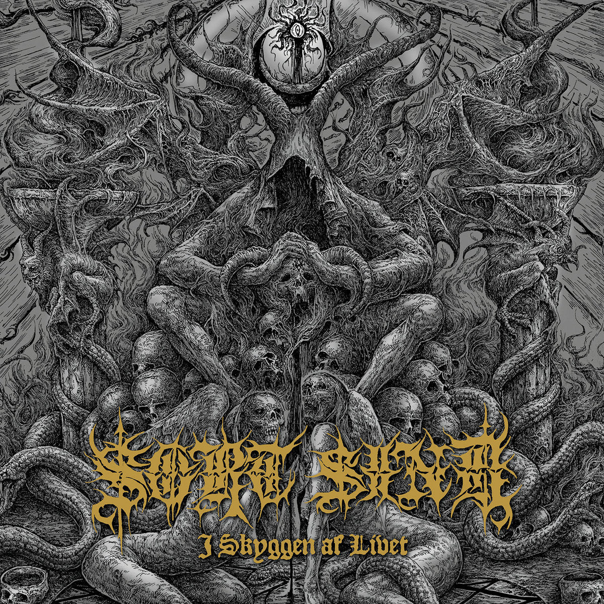 3206239e6d8a71f8532433e20c501704