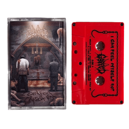 0e9296c56c1d264a1d31b073d4635902