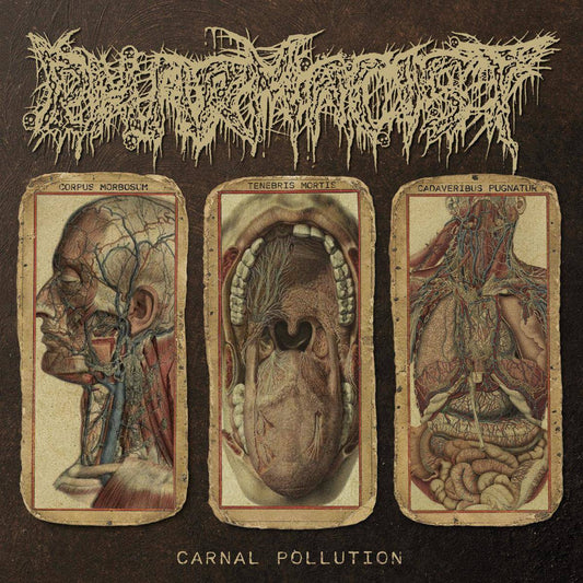 3dc4e938db1e804097b22baec84722c6