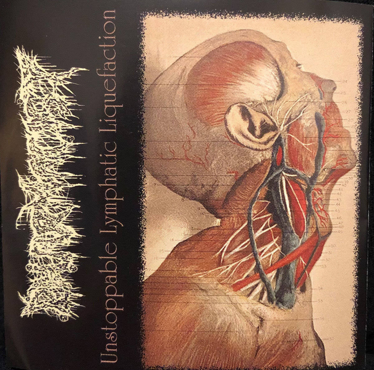 846fd0980fcca53bc92b5ab1a67c80e6