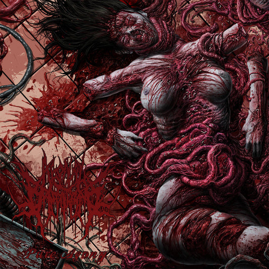 10e5cc7f435faf4a25202a8e72730cd6