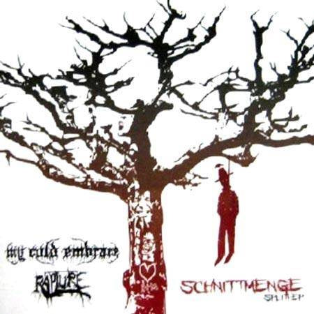 c75ebd5b1587c7a1e62ef9a236fcc315